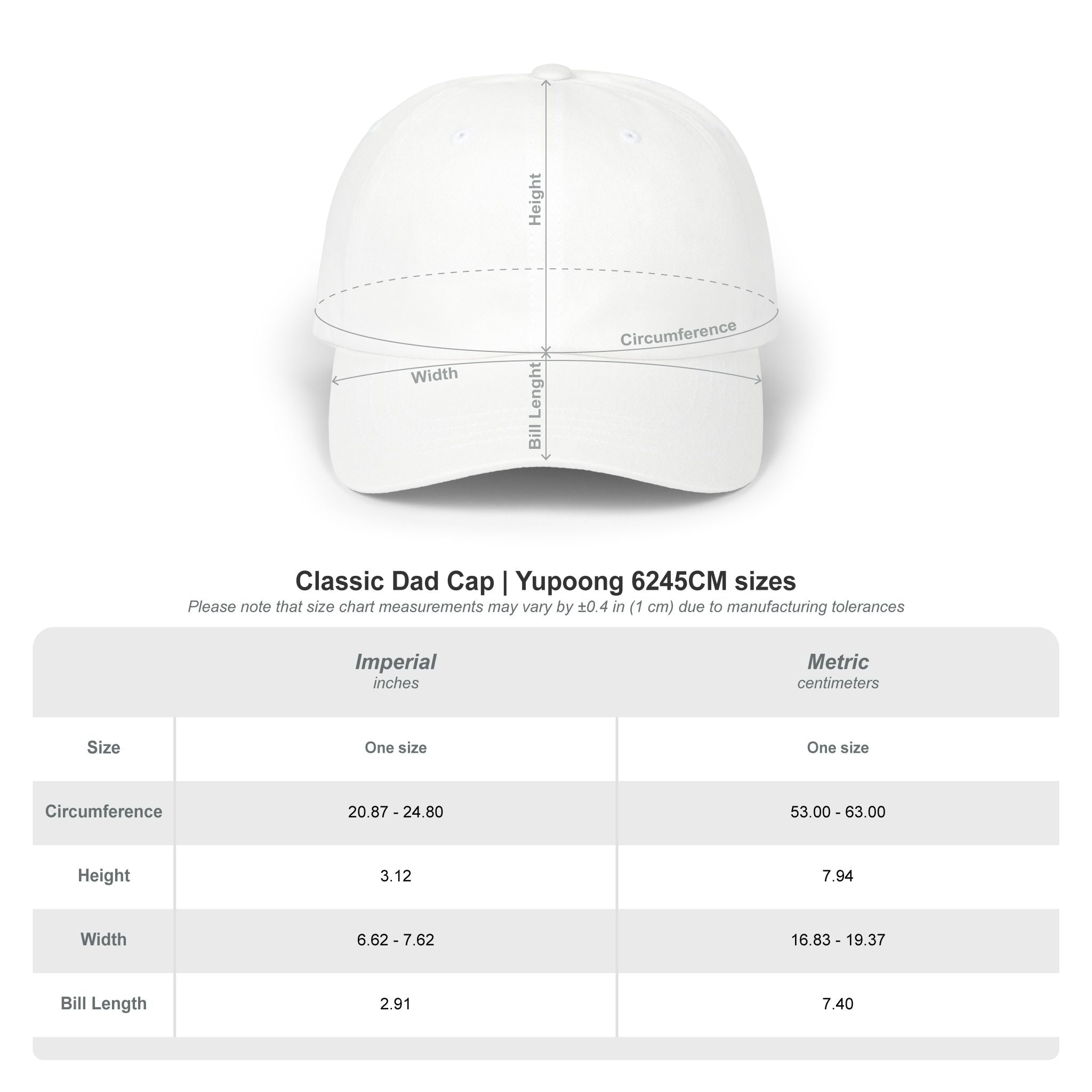 READ VOTE DONE BLUE Classic Dad Cap